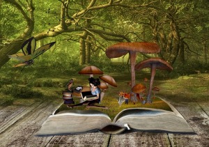 mushroom book